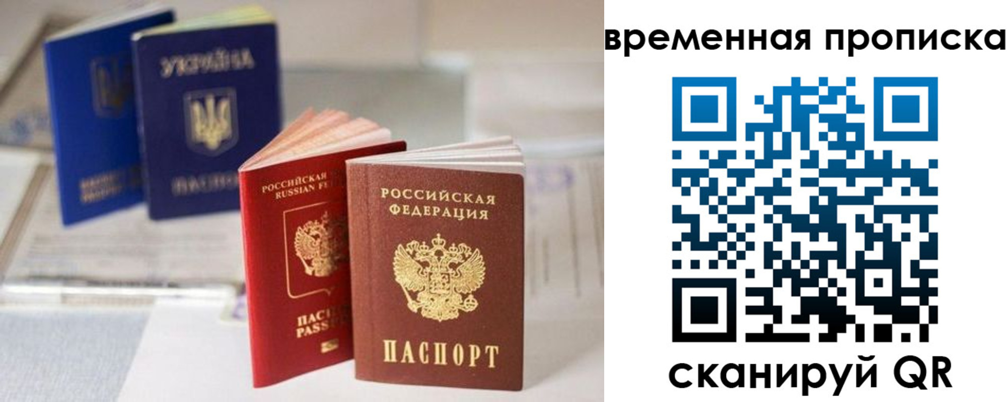 найти адрес прописки в Ершове
